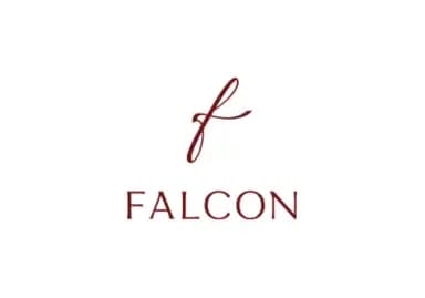 falcon-technic-quickbooks-success-story-penieltech