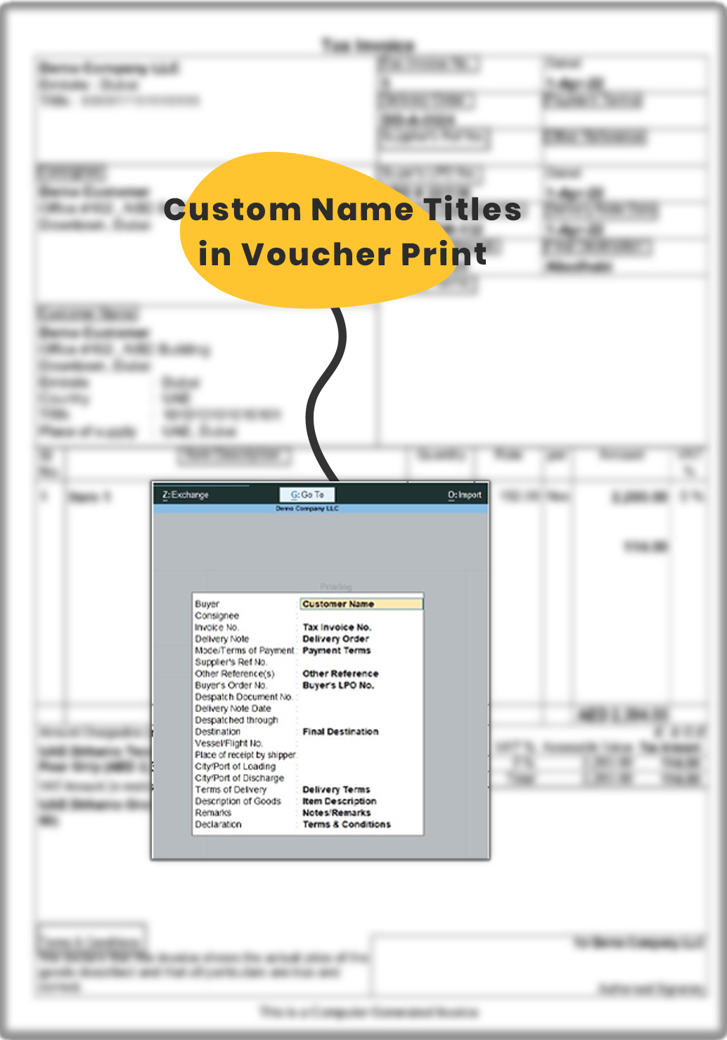 Custom Name Titles in Voucher Prints - Tally Customization