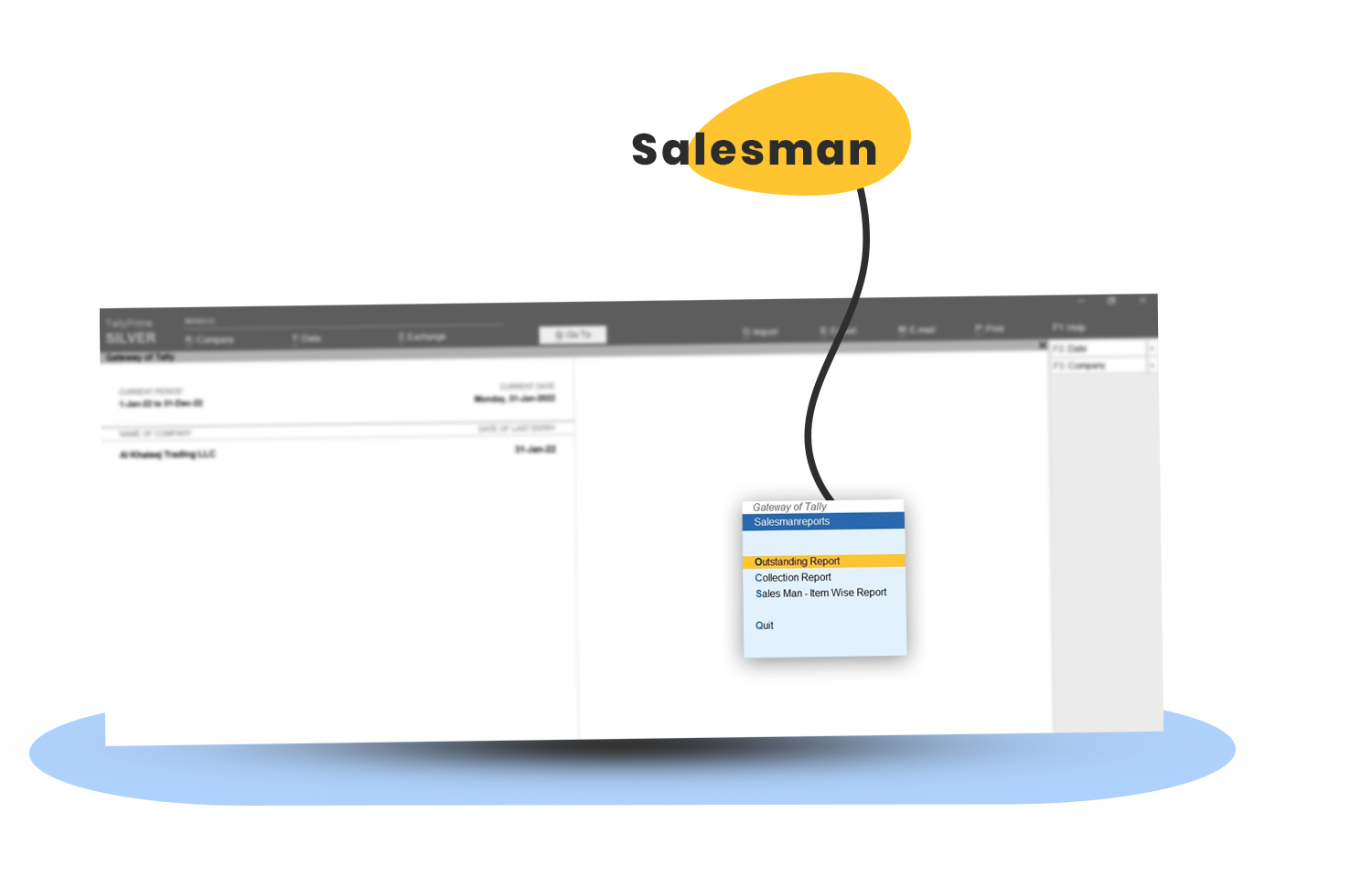 salesman module tally customization