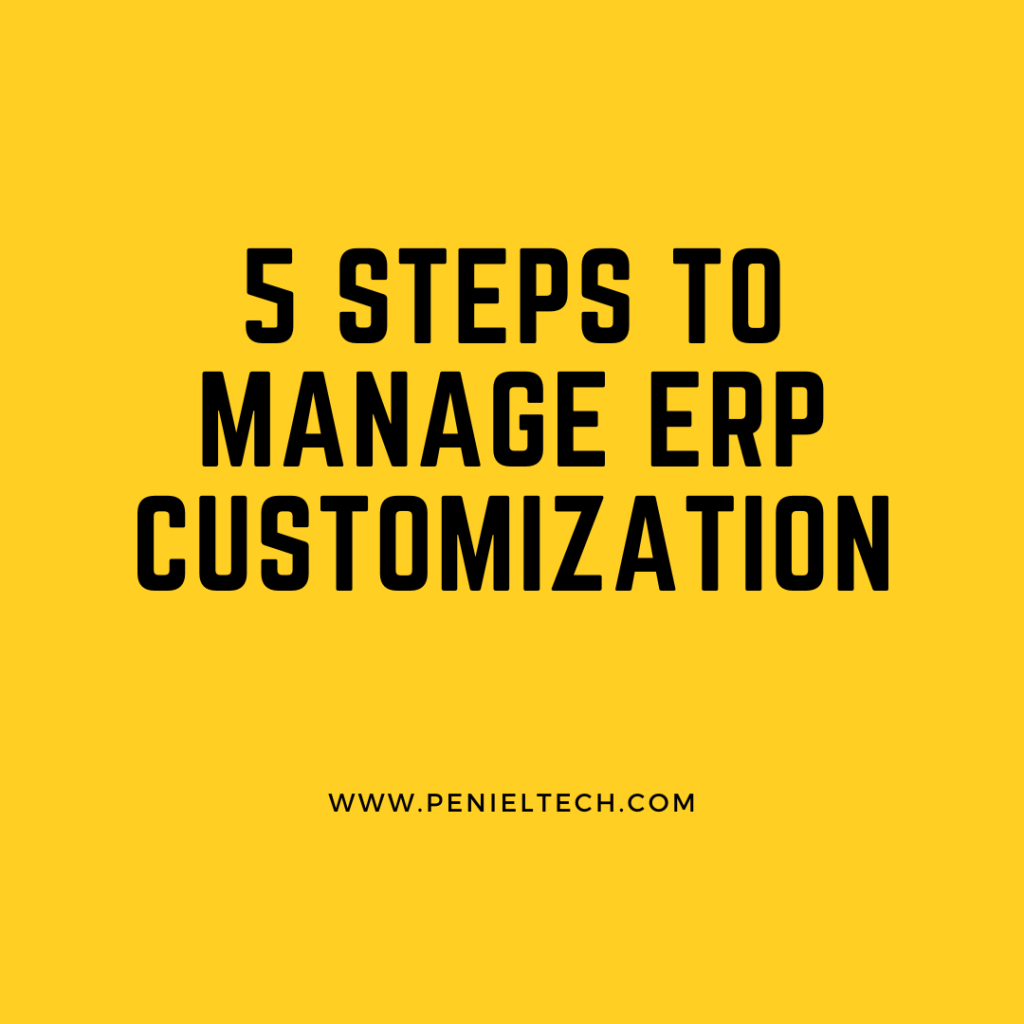 ERP Customization - Penieltech